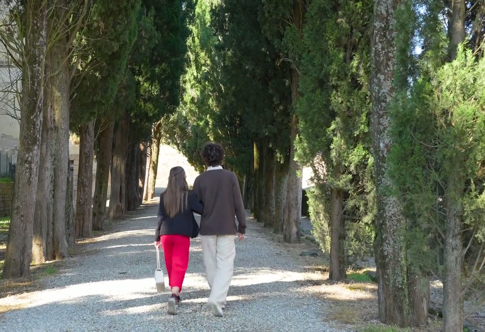 A couple walking away along a sunlit cypress-lined gravel avenue in Chianti